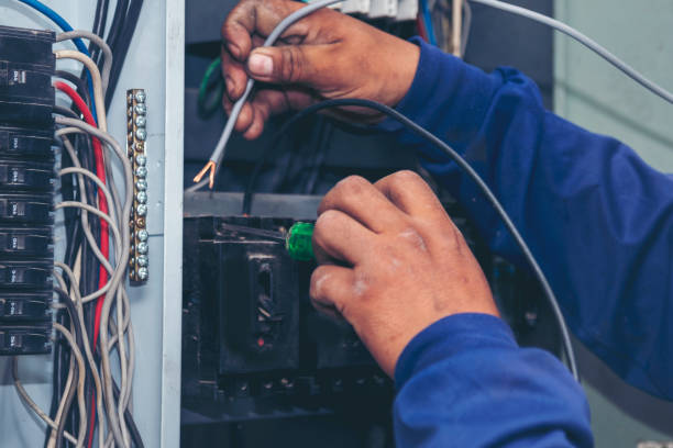 Best Electric Panel Repair  in Great Neck Plaza, NY